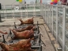 roast-lamb-malaysia-15_0