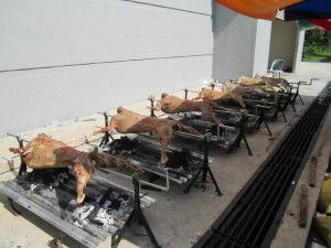 kambing golek